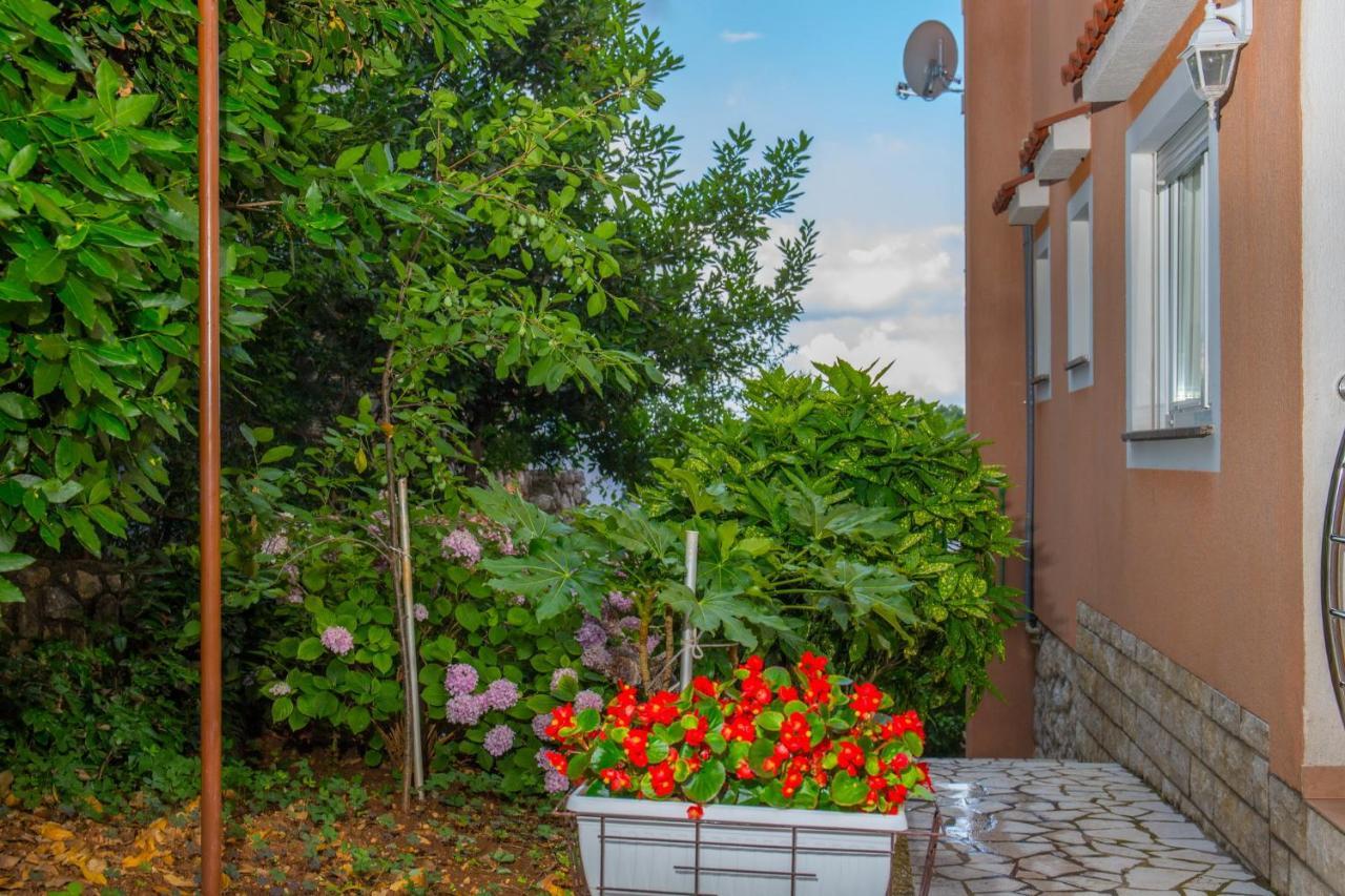 Apartments Zorica Драмал Екстериор снимка